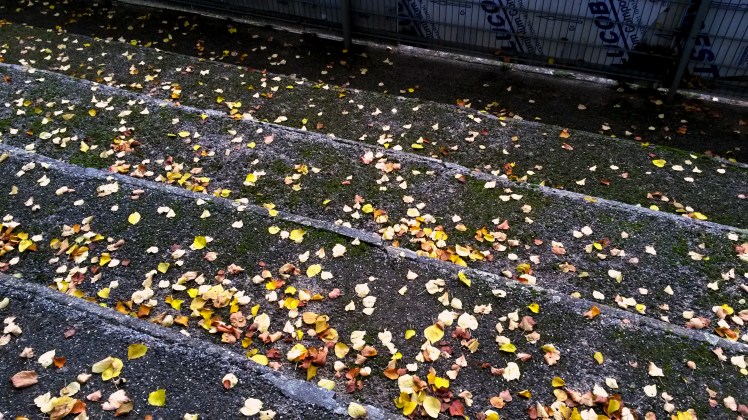 FC Schweinfurt 05 – FC Memmingen