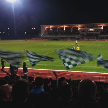 FC Schweinfurt 05 vs. SpVgg Bayreuth