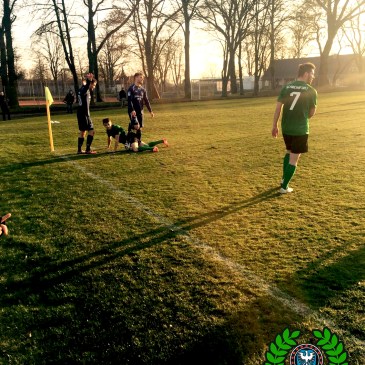 FC Schweinfurt 05 II vs. TG Höchberg