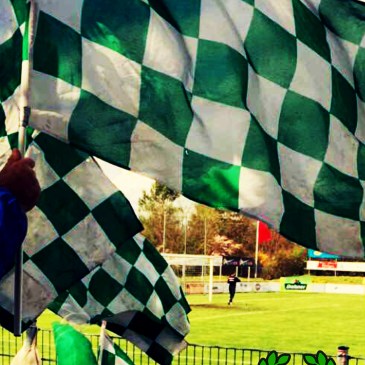 TSV Rain/Lech - FC Schweinfurt 05