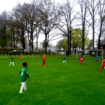 U9-Nachwuchs FC Schweinfurt 05