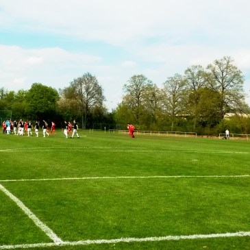 FC Schweinfurt II - FC Coburg