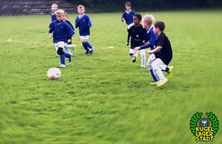 FC Schweinfurt 09 U9 II