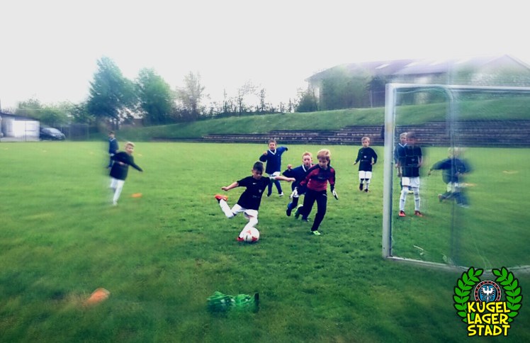 FC Schweinfurt 09 U9 II