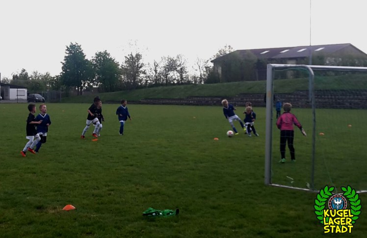 FC Schweinfurt 09 U9 II