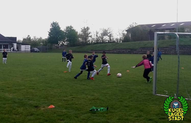 FC Schweinfurt 09 U9 II