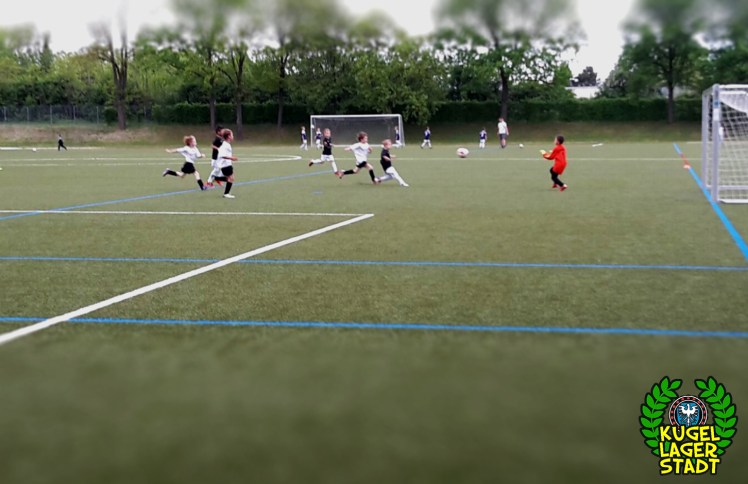 FC Schweinfurt U9 II Nachwuchs