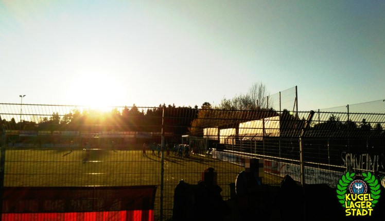 SV Schalding-Heining - FC Schweinfurt 05