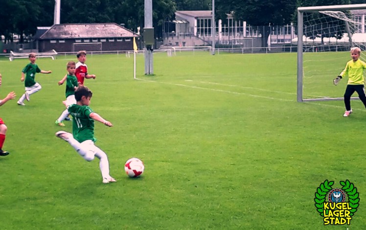 FC Schweinfurt 05 U9 II