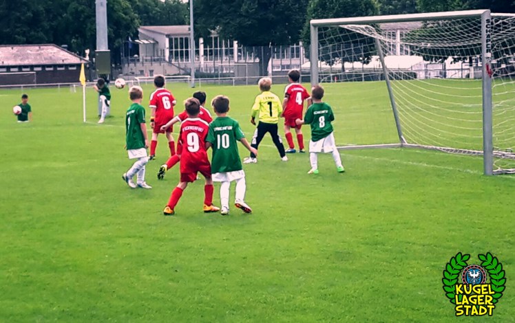 FC Schweinfurt 05 U9 II