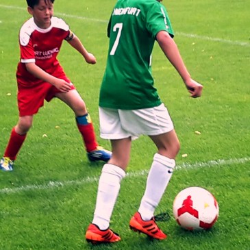FC Schweinfurt 05 U9 II