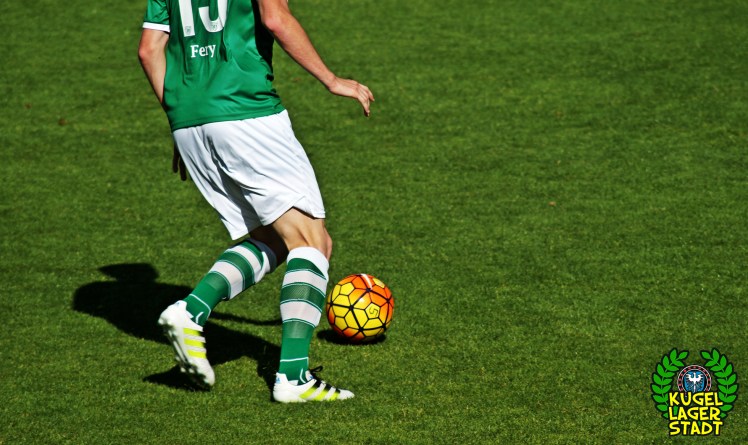 FC Schweinfurt 05 - FSV Zwickau