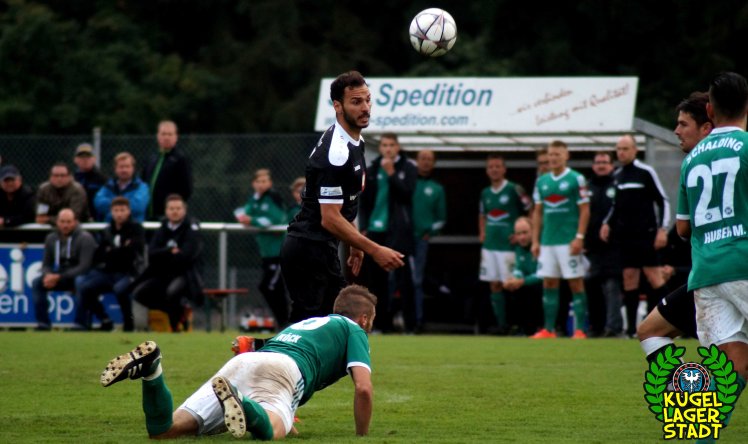 Schalding-Heining_90