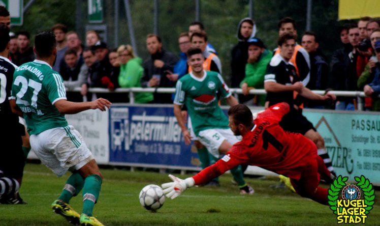 Schalding-Heining_96