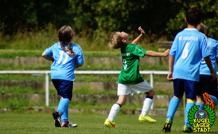 FC Schweinfurt 05 U9 Nachwuchs